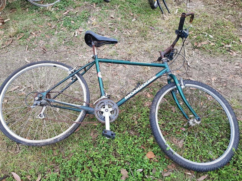 mongoose term mountain bike